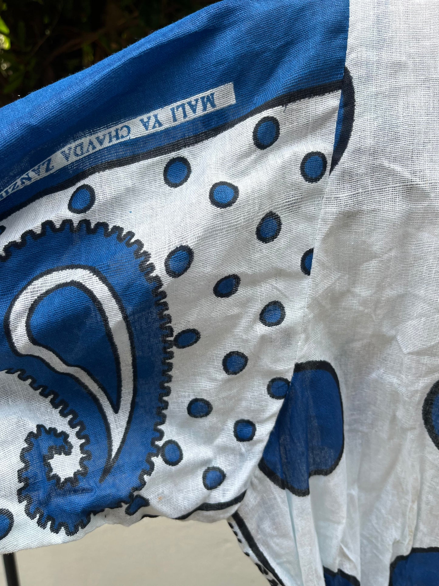 Blue Paisley Large Dot